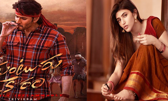 Sreeleela Not Attended To Mbbs Exams For Gunturu Kaaram Shooting , Mahesh Babu, Sreeleela Not Attended To Mbbs Exams For Gunturu Kaaram Shooting , Mahesh Babu,-TeluguStop.com