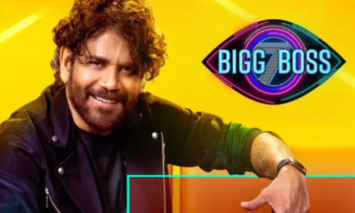 Telugu Bigg Boss, Grand Finale, Nagarjuna, Shivaji, Tollywood-Movie
