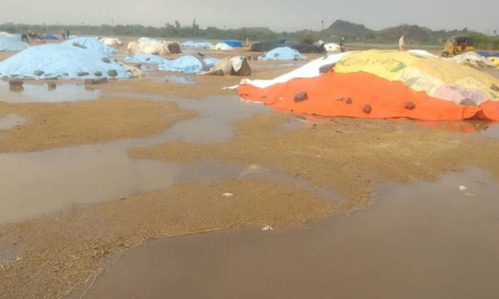  Heavy Rains In Nalgonda District , Cyclone Michaung ,heavy Rains, Farmers , Na-TeluguStop.com