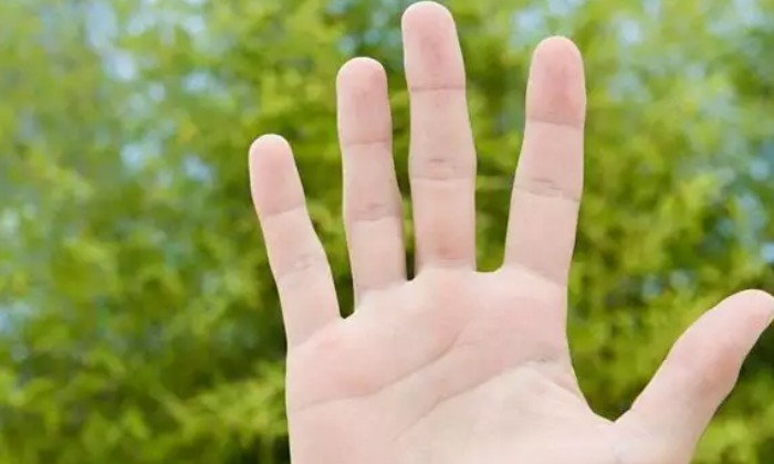 Telugu Fingerskind, Fingers, Index Finger, Finger-Telugu Bhakthi
