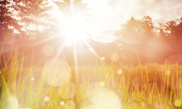 Telugu Atmosphere, Color, Rainbow, White, Yellow-Latest News - Telugu