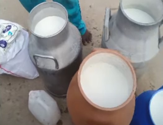  In Yadadri District Adulterated Milk Is Guttu Rattu-TeluguStop.com