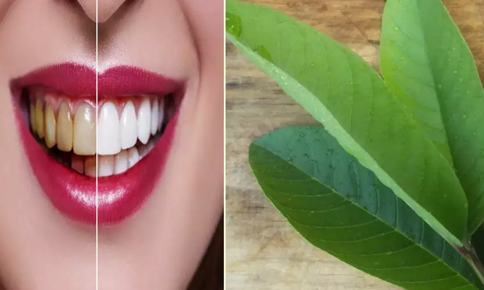  Follow These Powerful Tips For Teeth Whitening Powerful Tips, Teeth Whitening, L-TeluguStop.com
