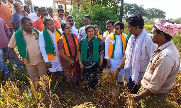  Bjp State President Purandeswari Inspected The Crop Fields Damaged By The Cyclo-TeluguStop.com