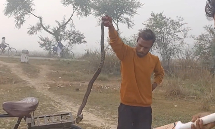  Go Into The Forest And Fight With Snakes Police Fire, Uttar Pradesh, Barabanki-TeluguStop.com