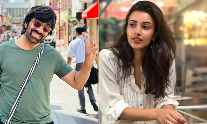  Heroine Fix In Harish Ravi Teja's Movie, Harish Shankar , Pawan Kalyan, Tripti-TeluguStop.com