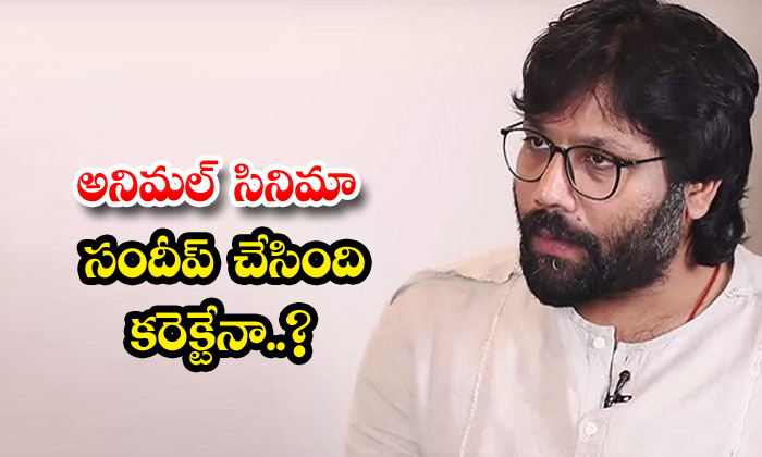  Is Sandeep Right In The Movie Animal, Sandeep Vanga, Animal Movie, Ranbir Kapoor-TeluguStop.com