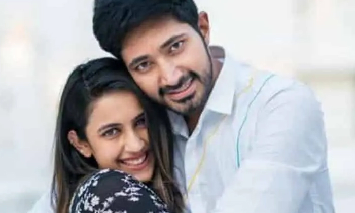  Niharika Chaitanya Is Going To Meet Again In The Presence Of Mega Family Why-TeluguStop.com