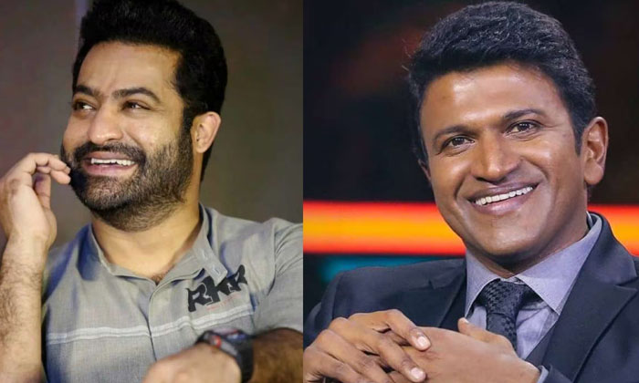  Kannada Actor Tarak Ponnappa Comments About Jr. Ntr Goes Viral , Jr Ntr, Tarak P-TeluguStop.com