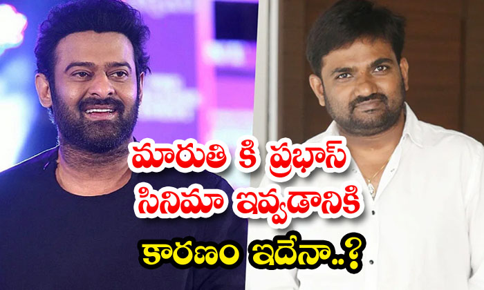  Is This The Reason For Giving Prabhas' Film To Maruthi..? Prabhas , Maruthi, To-TeluguStop.com