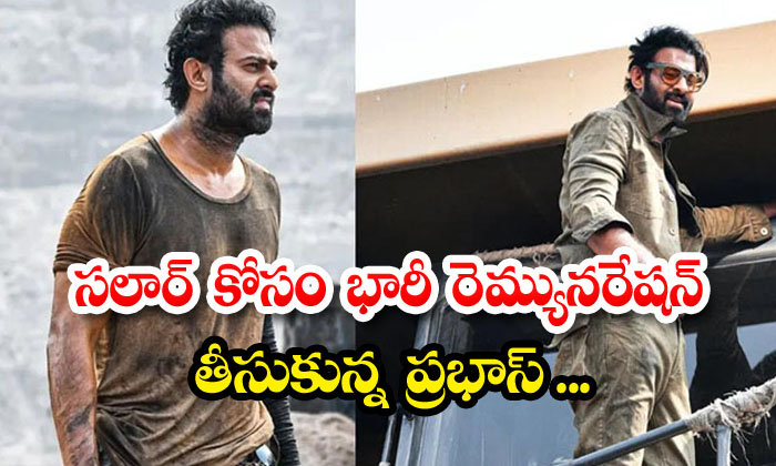  Prabhas Took Huge Remuneration For Salaar , Prabhas , Salaar , Tollywood , Soci-TeluguStop.com