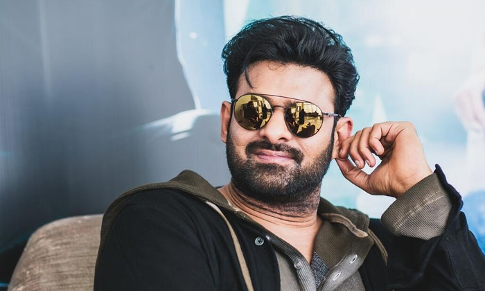  This Is The Prabhas Business Plan Before He Enter Into Movies, Prabhas, Salaar,-TeluguStop.com