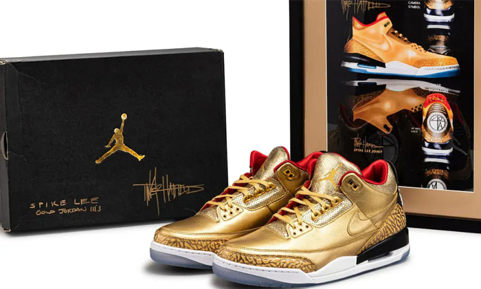 Telugu Academy Awards, Bin, Nike Air Jordan, Nri, Portland Rescue, Rare Nike Sho