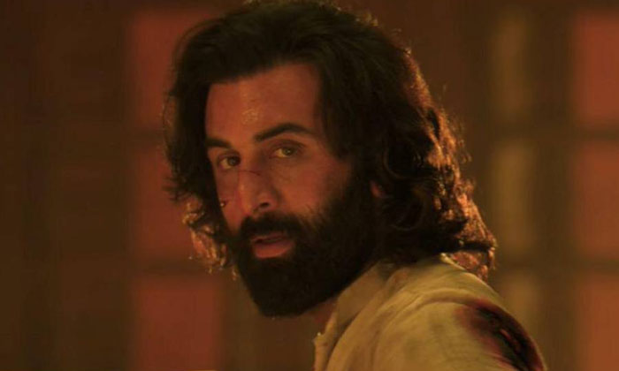 Telugu Allu Arjun, Animal, Prabhas, Ranbir Kapoor, Sandeepreddy, Spirit, Tollywo