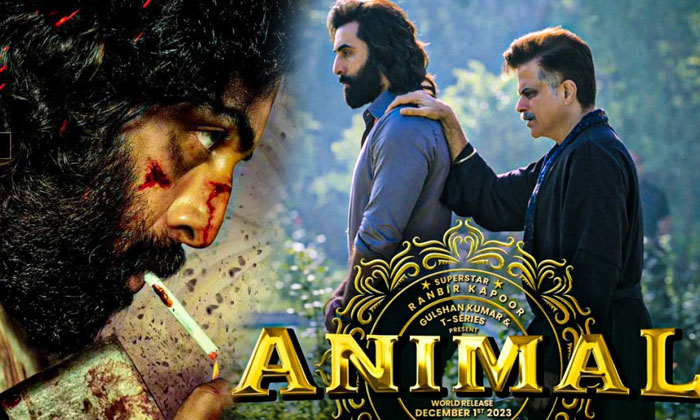 Telugu Salaar, Animal, Prabhas, Prashanth Neel, Sandeepreddy-Movie