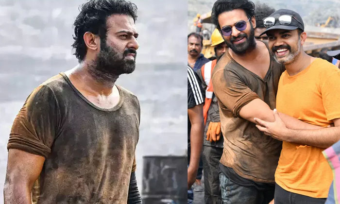 Telugu Salaar, Aamir Khan, Animal, Bollwood, Prashant Neel, Salman Khan, Sandeep