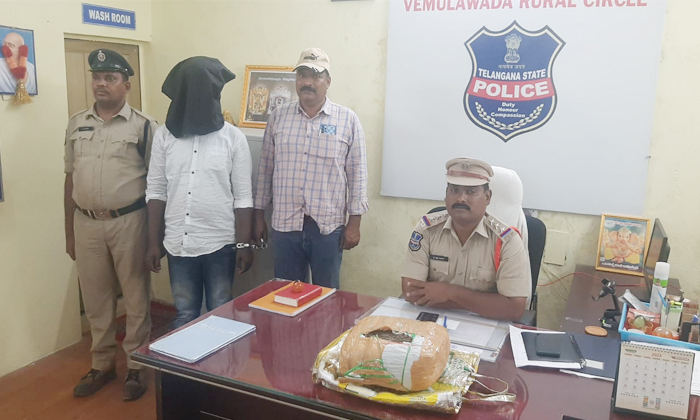  Seizure Of Prohibited Marijuana Vemulawada Rural, Prohibited Marijuana, Vemulaw-TeluguStop.com