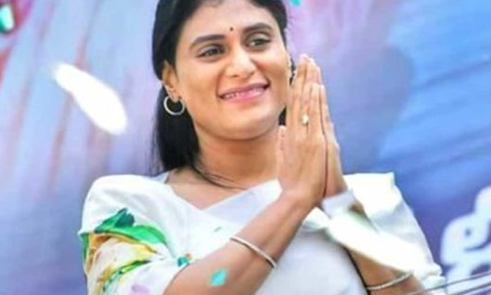  Sharmila Will Be Given A Key Post In Ycp , Ycp, Sharmila , Ap Politics, Bjp, Con-TeluguStop.com