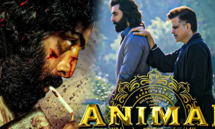 Telugu Salaar, Animal, Atlee, Jawan, Prabhas, Prashanth Neel, Directors-Movie