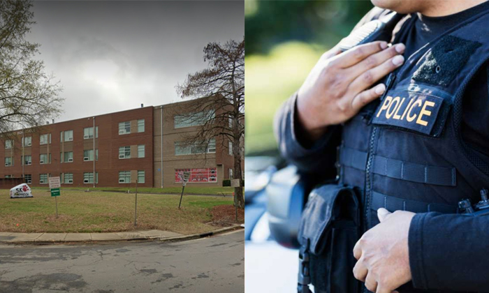 Telugu American Mother, Gabrielacartaya, App, Nri, Teacher-Telugu NRI