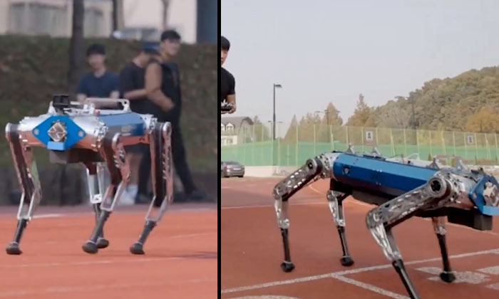  Video: This Is The Fastest Robot Dog In The World.. How Fast It Can Run , Viral-TeluguStop.com