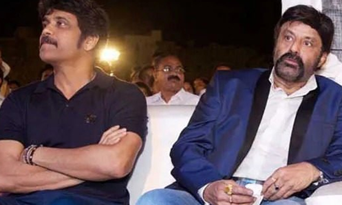 Telugu Balakrishna, Chiranjeevi, Na Sami Ranga, Nagarjuna, Tollywood-Movie