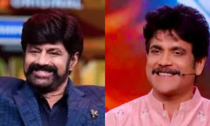  What Is The Reason For Nagarjuna Not Being Able To Compete With Balayya Chiru, N-TeluguStop.com