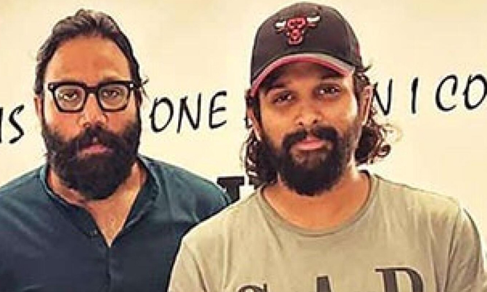 Telugu Allu Arjun, Animal, Bollywood, Pushpa, Sandeep Vanga, Tollywood-Movie Telugu Allu Arjun, Animal, Bollywood, Pushpa, Sandeep Vanga, Tollywood-Movie