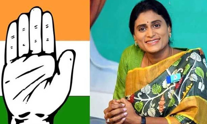  Is Congress Sharmila Important, Ys Sharmila, Ap Congress , Ap Politics, Ycp , Td-TeluguStop.com