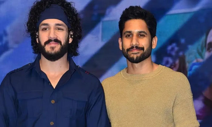  Latest News About Akkineni Naga Chaitanya-TeluguStop.com