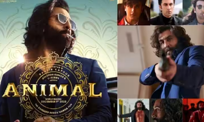 Telugu Animal, Bollywood, Ranbir Kapoor, Sandeepreddy-Movie