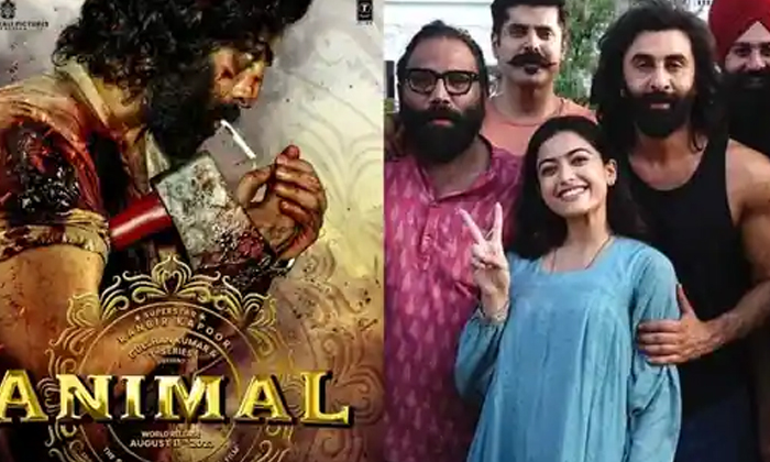  Animal Movie Plus And Minus Points Details Here Goes Viral , Animal Movie, Plus-TeluguStop.com