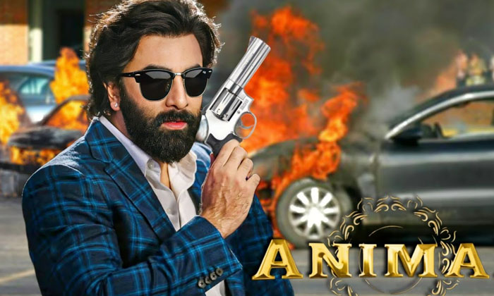  Minus Points In Animal Movie-TeluguStop.com