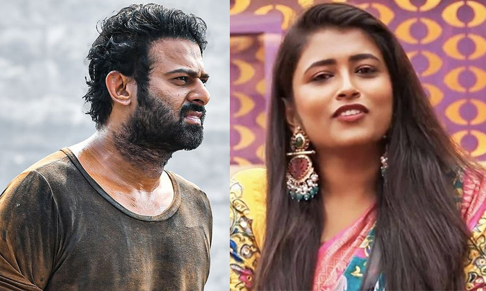  Bigg Boss Contestant Geetu Royal Shocking Comments On Prabhas Salaar Movie Detai-TeluguStop.com