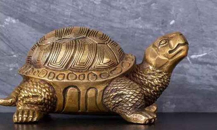 Telugu Turtle, Devotional, Lord Vishnu, Vasthu, Vasthu Tips, Vastu, Vastu Tips-L