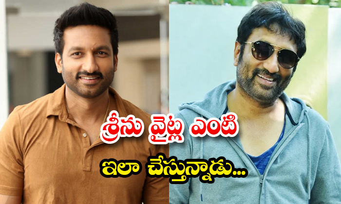  Interesting Update On Srinu Vaitla Gopichand Movie Details, Srinu Vaitla , Gopi-TeluguStop.com
