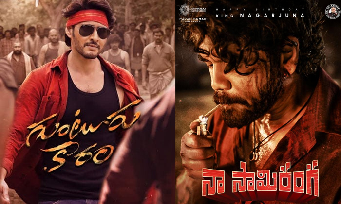  Mahesh Babu Gunturu Karam Vs Nagarjuna Naa Saami Ranga Movie Details, Mahesh Bab-TeluguStop.com