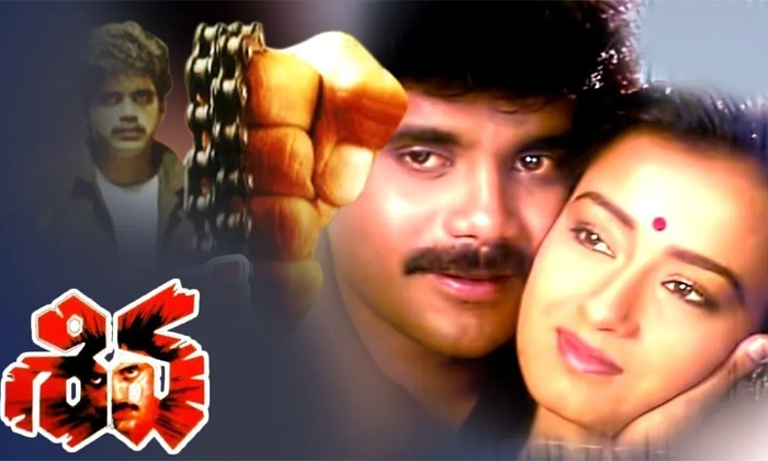  Nagarjuna Ram Gopal Varma Shiva Movie Hindi Collections Details, Nagarjuna, Ram-TeluguStop.com