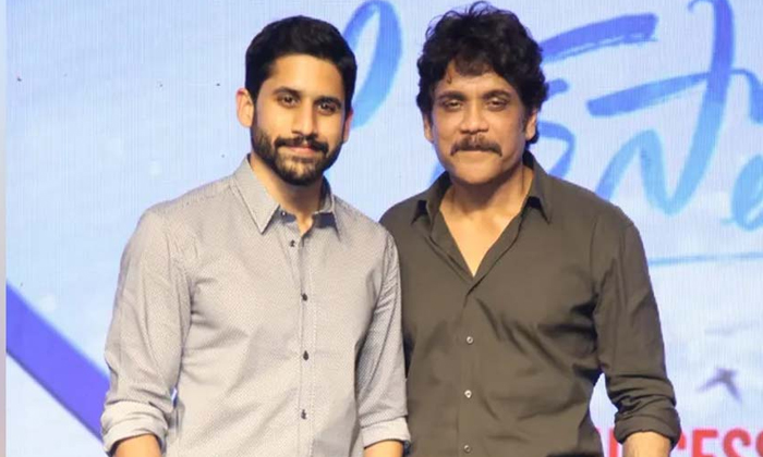 Nagarjuna Suggested Young Director For Naga Chaitanya Details, Nagarjuna , Young Nagarjuna Suggested Young Director For Naga Chaitanya Details, Nagarjuna , Young-TeluguStop.com