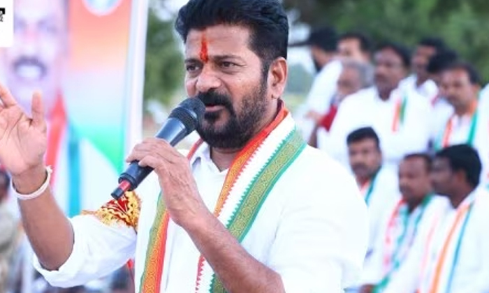 Telugu Manikyamma, Natukodi Curry, Revanth Reddy, Vanahi-Politics