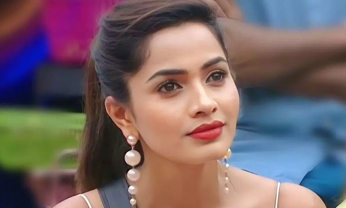 Telugu Bigg Boss, Bigg Boss Show, Biggboss, Sobha Shetty-Movie