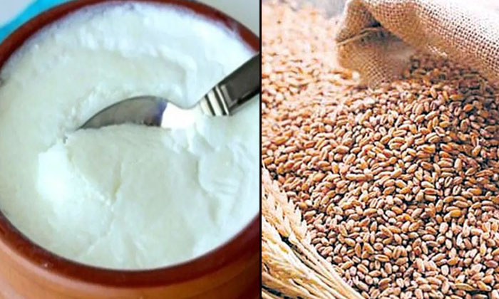 Telugu Tips, Skin, Skin Care, Skin Care Tips, Wheat, Wheat Benefits, Wheat Face