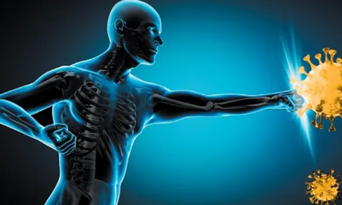 Telugu Tips, Latest, Spinach, Spinach Effects-Telugu Health Telugu Tips, Latest, Spinach, Spinach Effects-Telugu Health