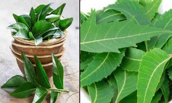 Telugu Care, Care Tips, Fall, Healthy, Natural, Thick-Telugu Health