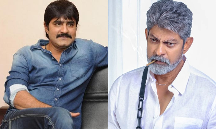  Tollywood Allrounder Actors Sunil Rajasekhar Jagapathi Babu Srikanth-TeluguStop.com