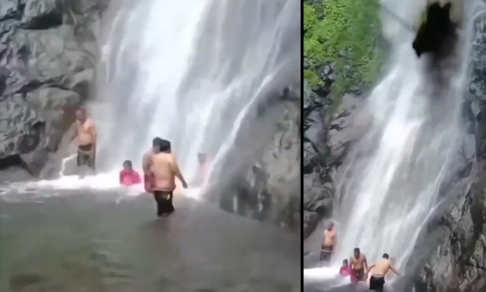  Tree Fell Suddenly When Bathing Under The Waterfall Video Viral Details, Viral V-TeluguStop.com