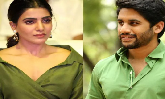 Telugu Akkineni, Akkinenidivorce, Divorce, Kirti Reddy, Lakshmi, Naga Chaitanya,