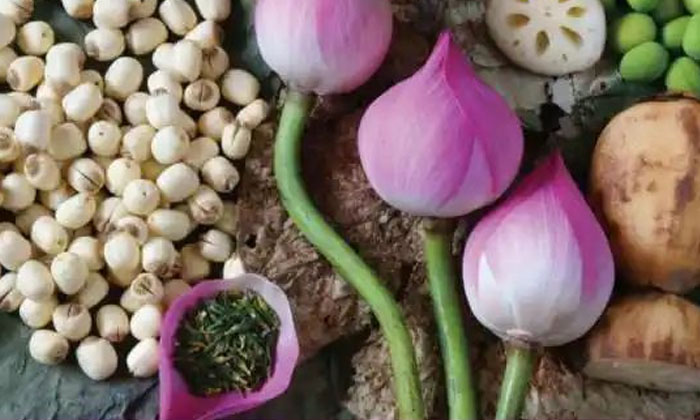 Are There So Many Benefits Of Eating Fool Makhana, Protein, Fool Makhana, Magne Are There So Many Benefits Of Eating Fool Makhana, Protein, Fool Makhana, Magne-TeluguStop.com