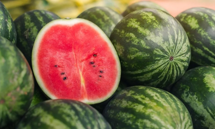  Tips And Techniques To Protect Water Melon Farming-TeluguStop.com