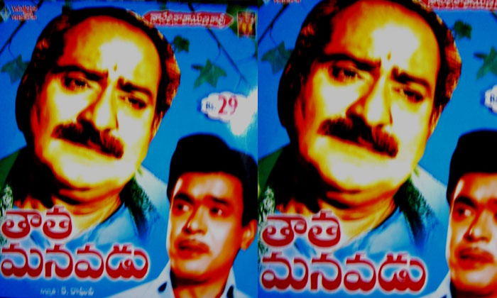 Facts About Thatha Manavadu Movie , Sv Ranga Rao, Rajababu, Kaikala Satyanarayan Facts About Thatha Manavadu Movie , Sv Ranga Rao, Rajababu, Kaikala Satyanarayan-TeluguStop.com